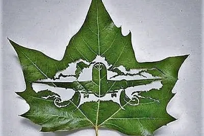 arte