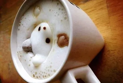 cafe