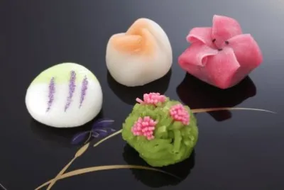 æ—¥æœ¬å’Œè“å­