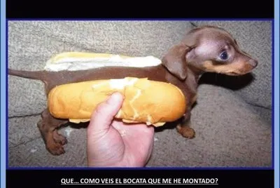 QUE... COMO VEIS EL BOCATA QUE ME HE MONTADO?