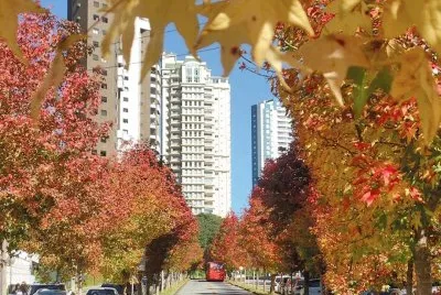 imagem jigsaw puzzle