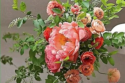 flores