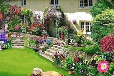 imagem jigsaw puzzle