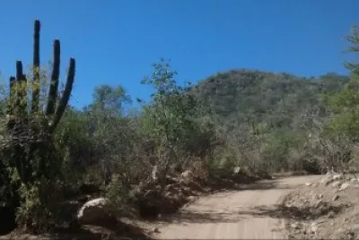 camino en la sierra