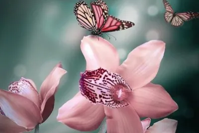 flores