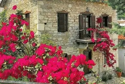 imagem jigsaw puzzle