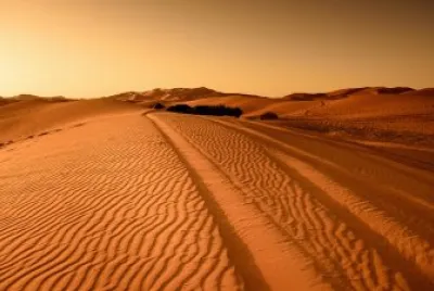 deserto jigsaw puzzle