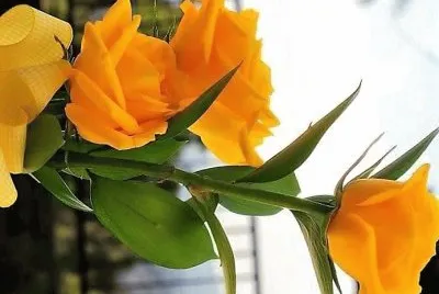 flores
