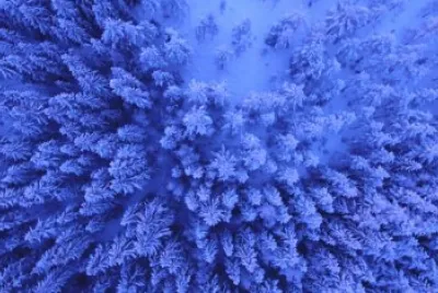 neve nas alturas