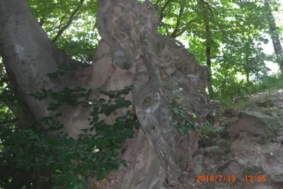 OROPA