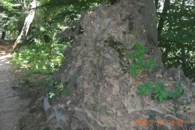 OROPA