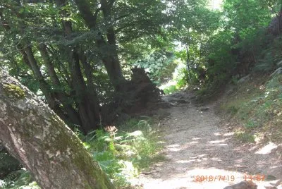 OROPA