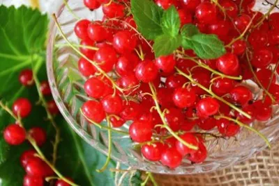 Groseilles