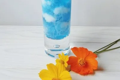 æžœå‡