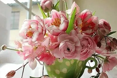 flores