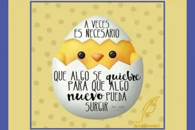 POLLITO