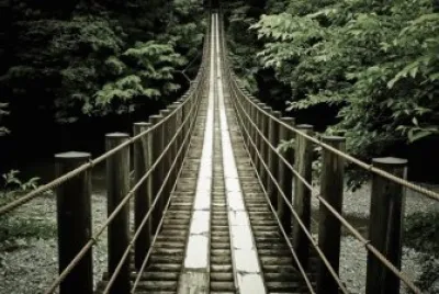 wooden brigde