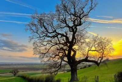 NATUREZA