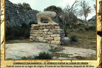 LUMBRALES (SALAMANCA) â€“ EL VERRACO VUELVE AL LUGAR DE ORGEN