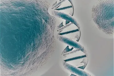 DNA