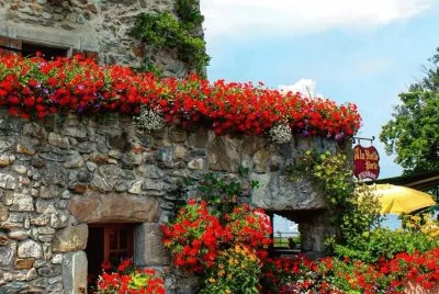 imagem jigsaw puzzle