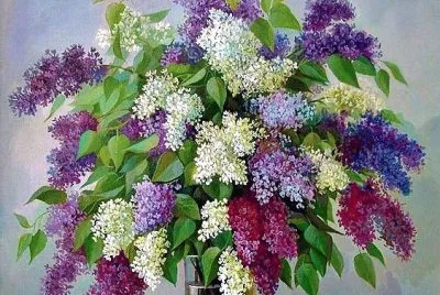 flores