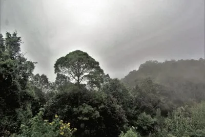 Paisaje chiapaneco.