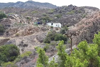 Aguaje Vargas
