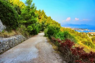 NATUREZA jigsaw puzzle