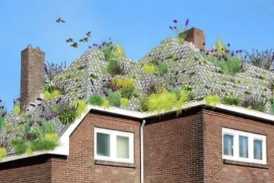 natural jigsaw puzzle