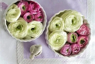 flores