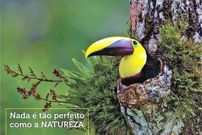 natural