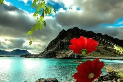 imagem