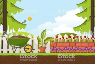 stock city