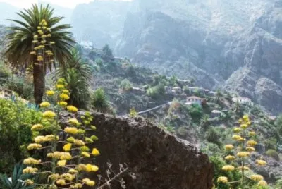 BARRANCAS