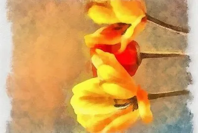 arte