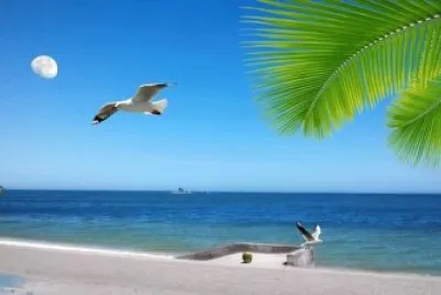Litoral Oeste