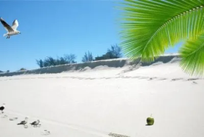 Litoral Areia