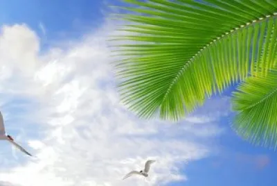 CÃ©u do Litoral