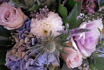 flores