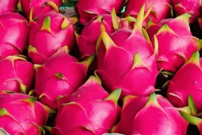 frutas