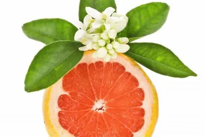 frutas