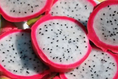frutas jigsaw puzzle