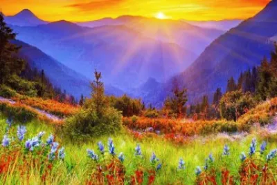 wall