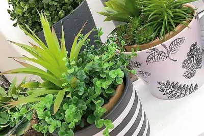 natural jigsaw puzzle