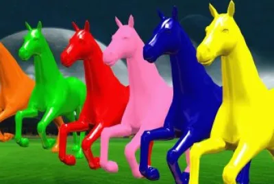 horse colour