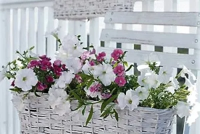 flores