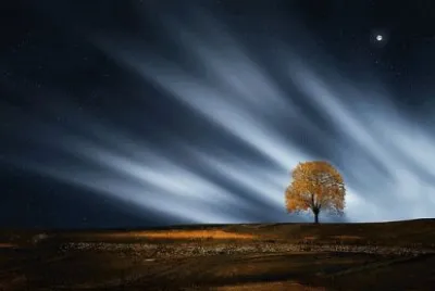Crepuscular