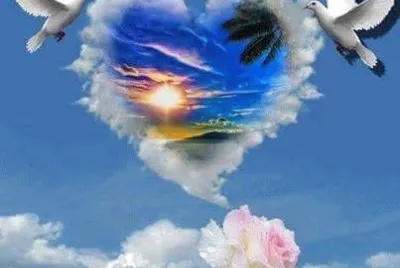 imagem