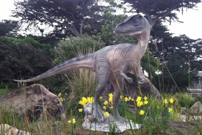 raptor